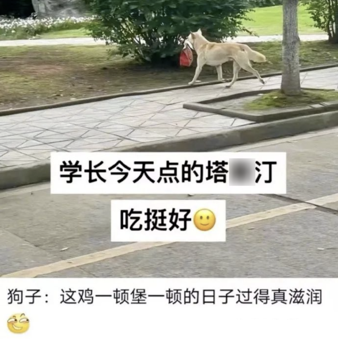 每日一图 丨 《你是真的狗》