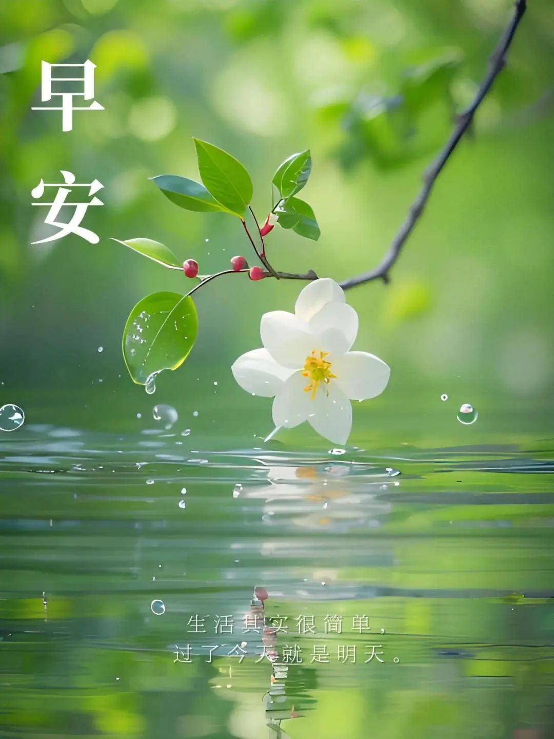 励志语录：正能量鼓舞人心的句子，请你永久收藏！