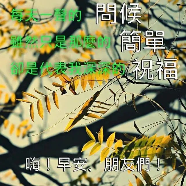 早上好，发朋友圈句句正能量，早上起床最新励志早安语录