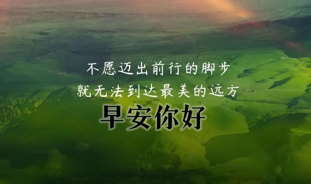 早上好，早晨励志语录正能量 ，超火的正能量励志早安心灵鸡汤