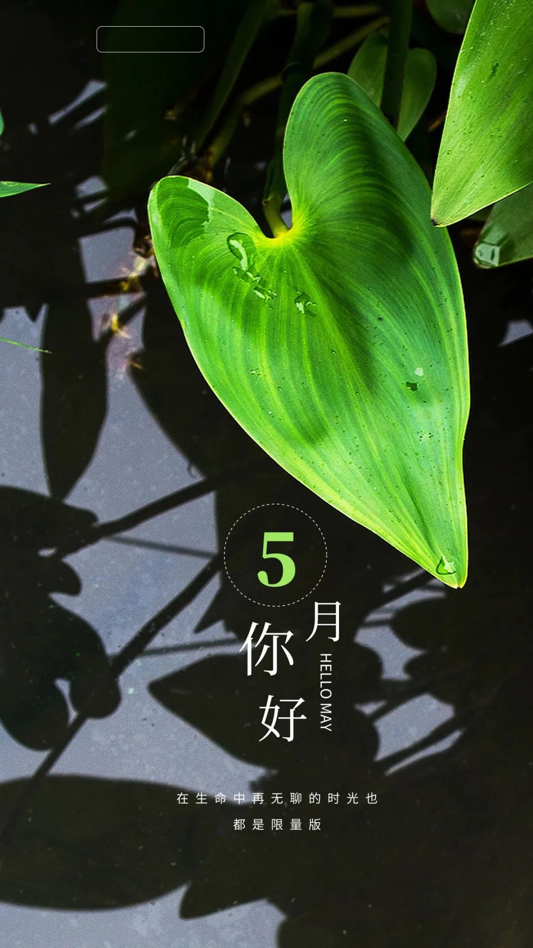 5月你好说说唯美说说句子 迎接五月开心文案祝福句子 愿五月以温柔待你