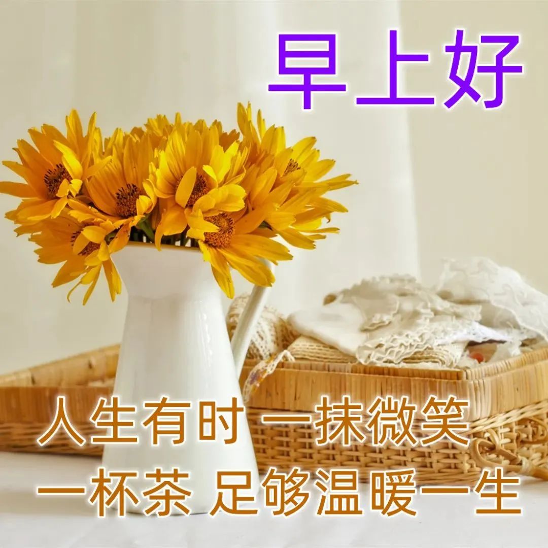 早上好，抖音正能量早安句子，精选好听治愈系唯美说说句子