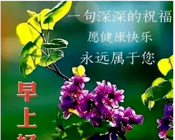 早上好，朋友圈早安语录句子，微信很棒很赞的早安句子！
