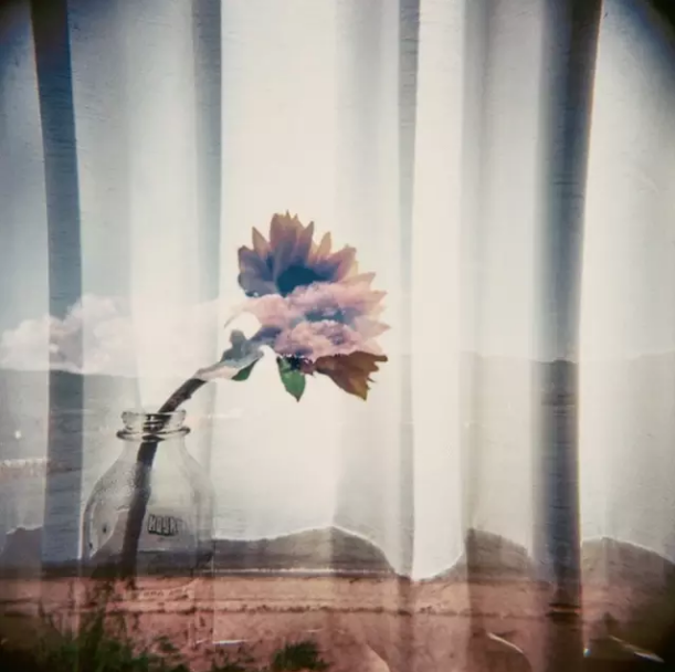 伤害一个人最深的方式,不是争吵,而是以下2个字! 图2 伤害一个人最深的方式,不是争吵,而是以下2个字! 图2