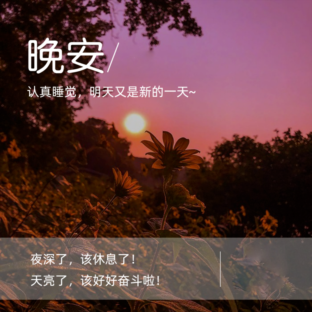 适合睡前发朋友圈的晚安说说正能量句子 晚安语录励志文案