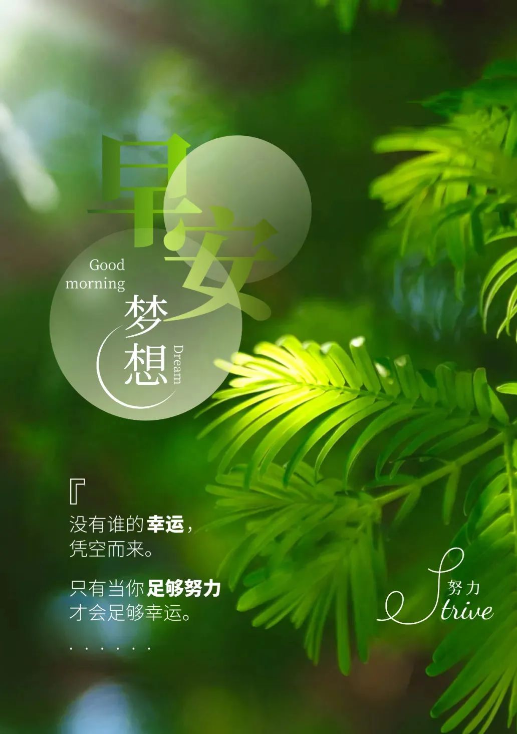 励志人生：每日金句正能量，人间清醒的励志句子！