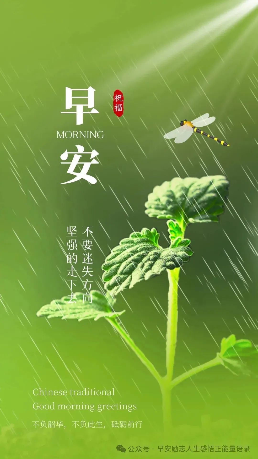 人民日报每日金句摘抄，正能量鼓舞人心的句子，请你永久收藏！_老李博客, image size:1080x1920