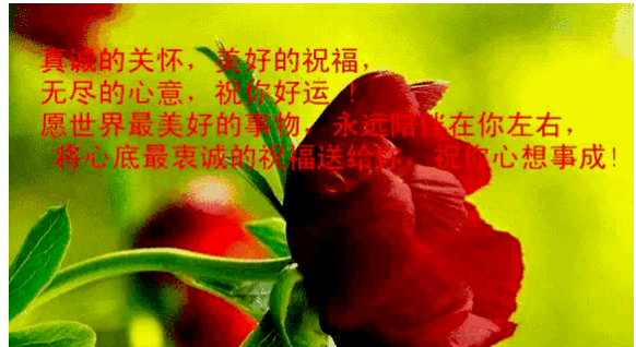 一句话正能量早安心语，经典早安心灵鸡汤语录！