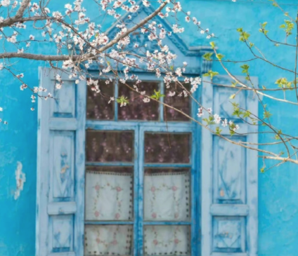 励志人生：选择一种姿态，让自己活得无可替代。