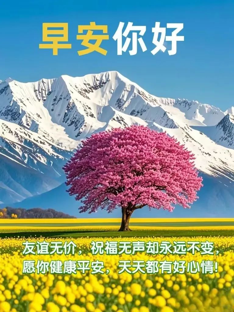 早安朋友圈励志心灵鸡汤句子分享， 精辟有道理的哲理句子