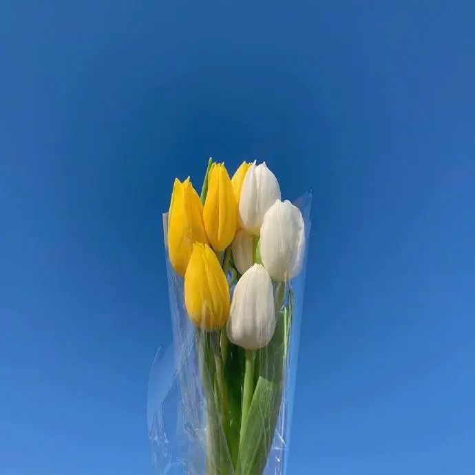 发朋友圈很现实的人生感悟说说，句句穿透人心！