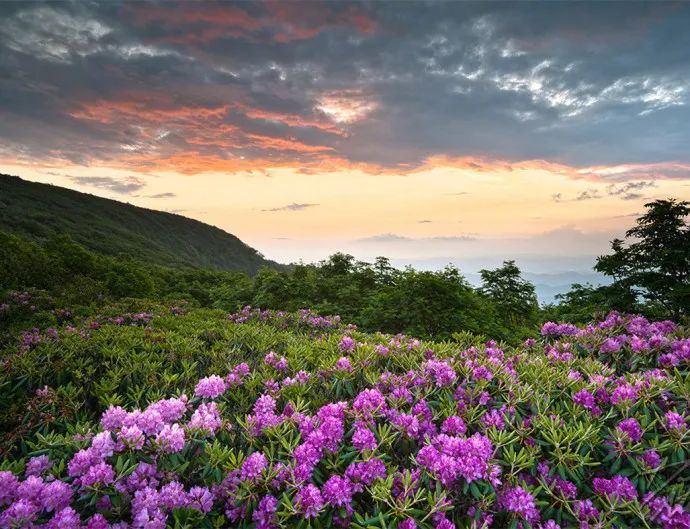 2024很经典的心灵鸡汤语录，句句值千金！