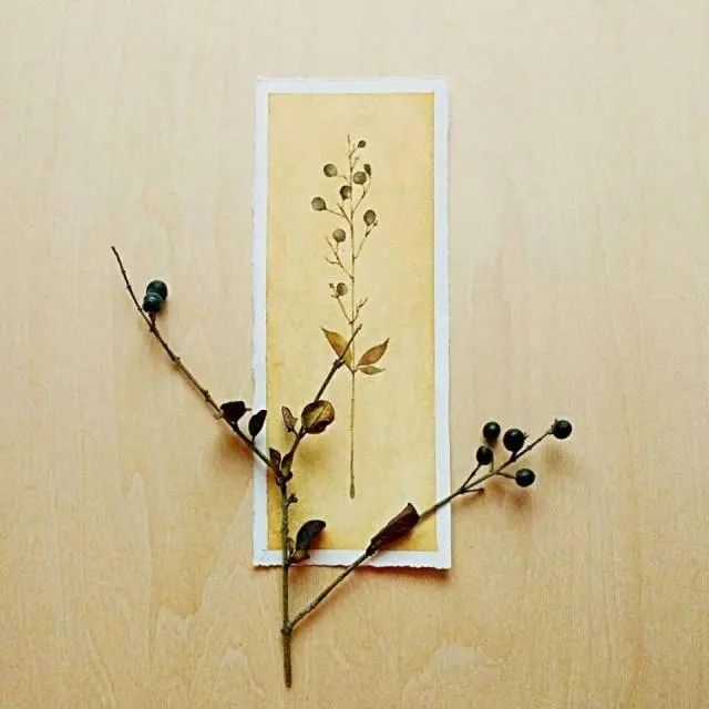 有品位的生活经典语录，一针见血，精辟到噎死人！