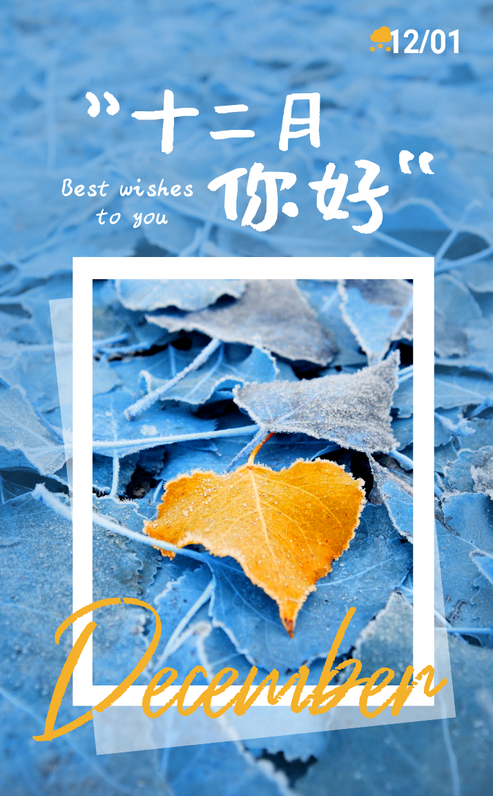 十一月再见十二月你好优质说说 简短励志文案 唯美12月你好说说图片