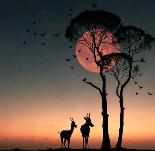 微信很现实的人生说说，经典至极，引人共鸣！